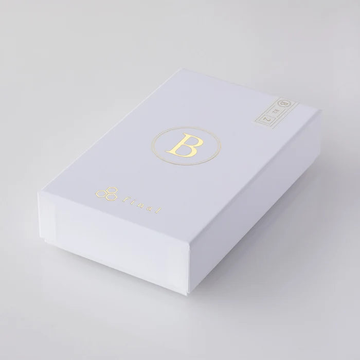 Final Audio B2 IEMs - Single BA Driver Stainless Steel Earphones