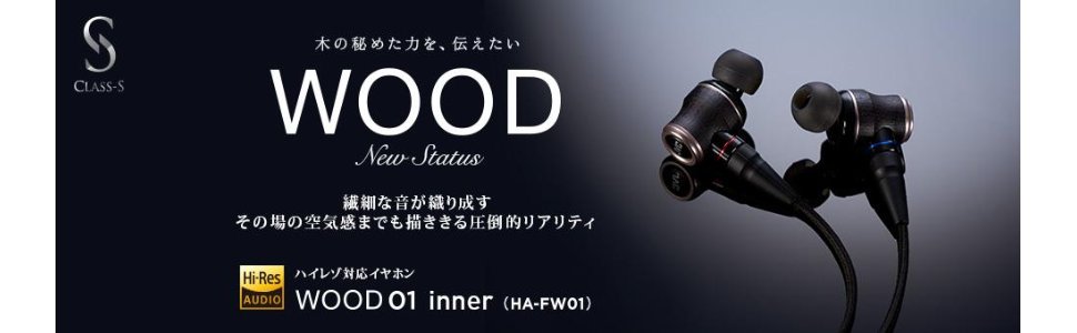 JVC HA-FW01 Hi-Res Wooden Dome Driver Earphone with 3.5mm MMCX Plug Made In Japan