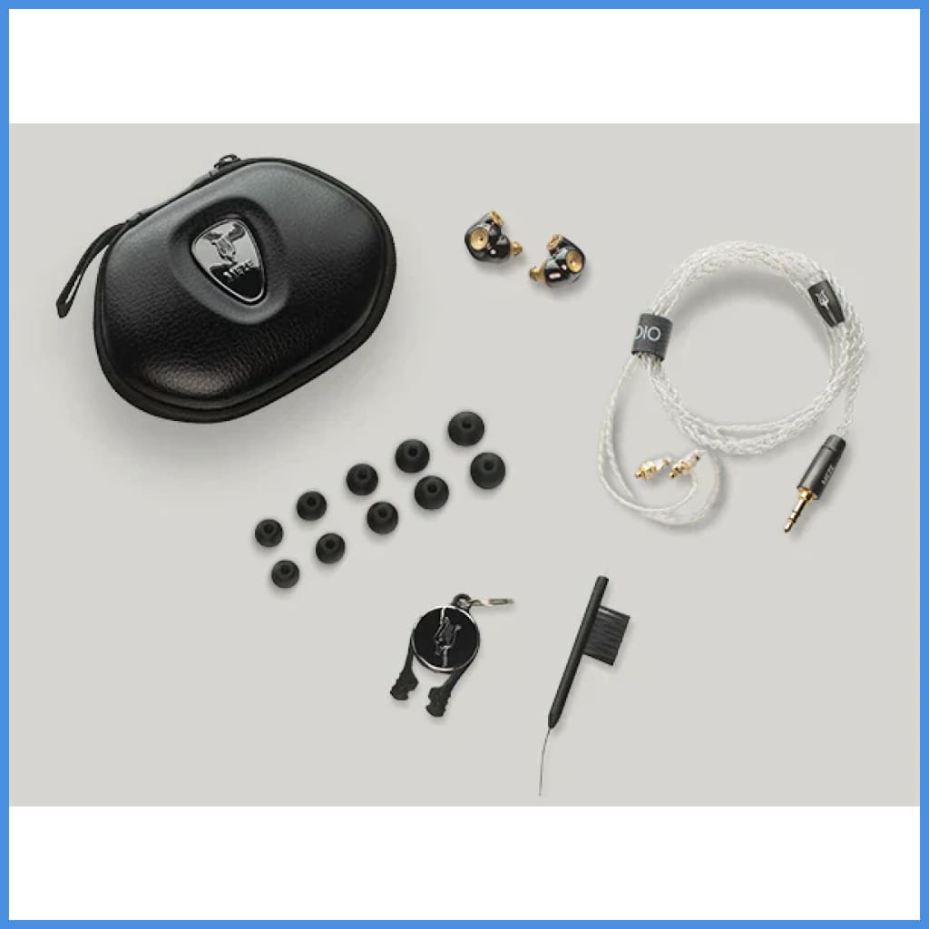Meze Audio ADVAR Dynamic Driver In-Ear Monitor IEM Earphone