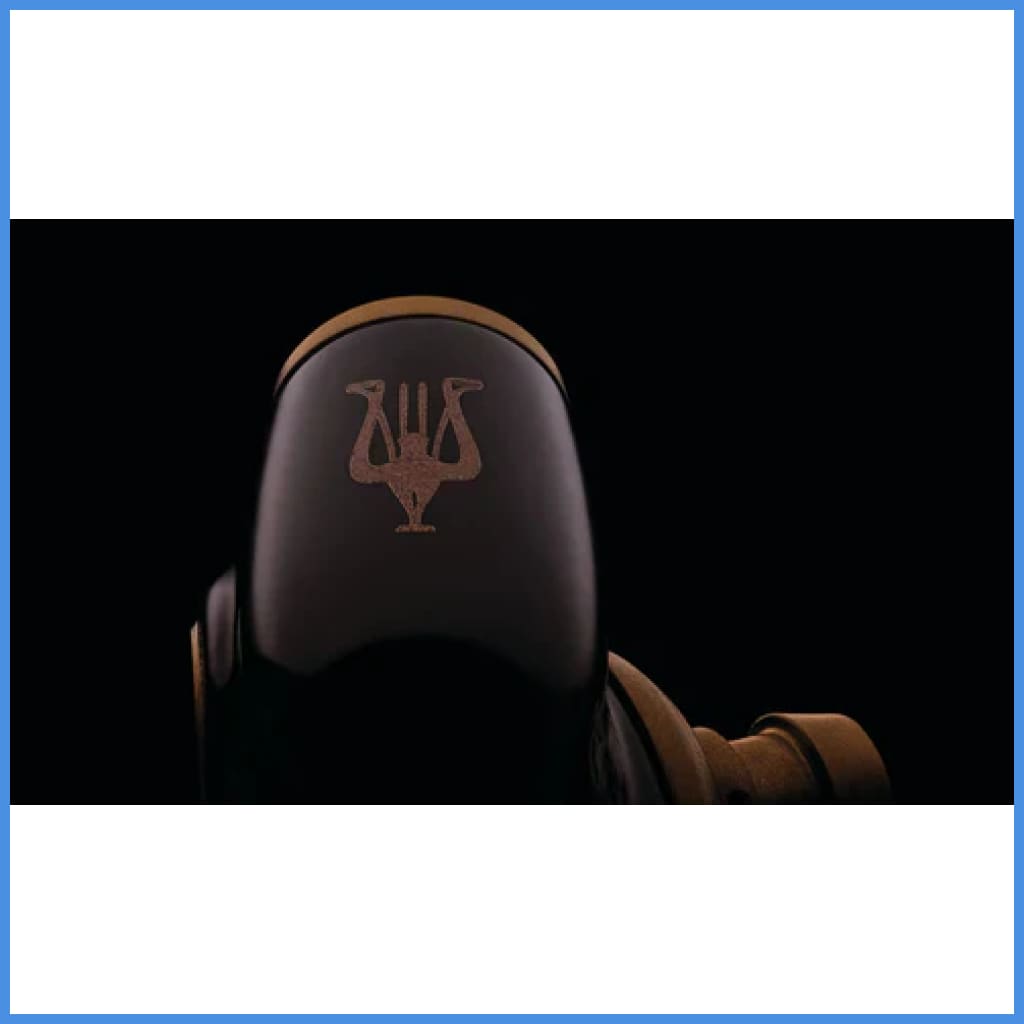 Meze Audio ADVAR Dynamic Driver In-Ear Monitor IEM Earphone