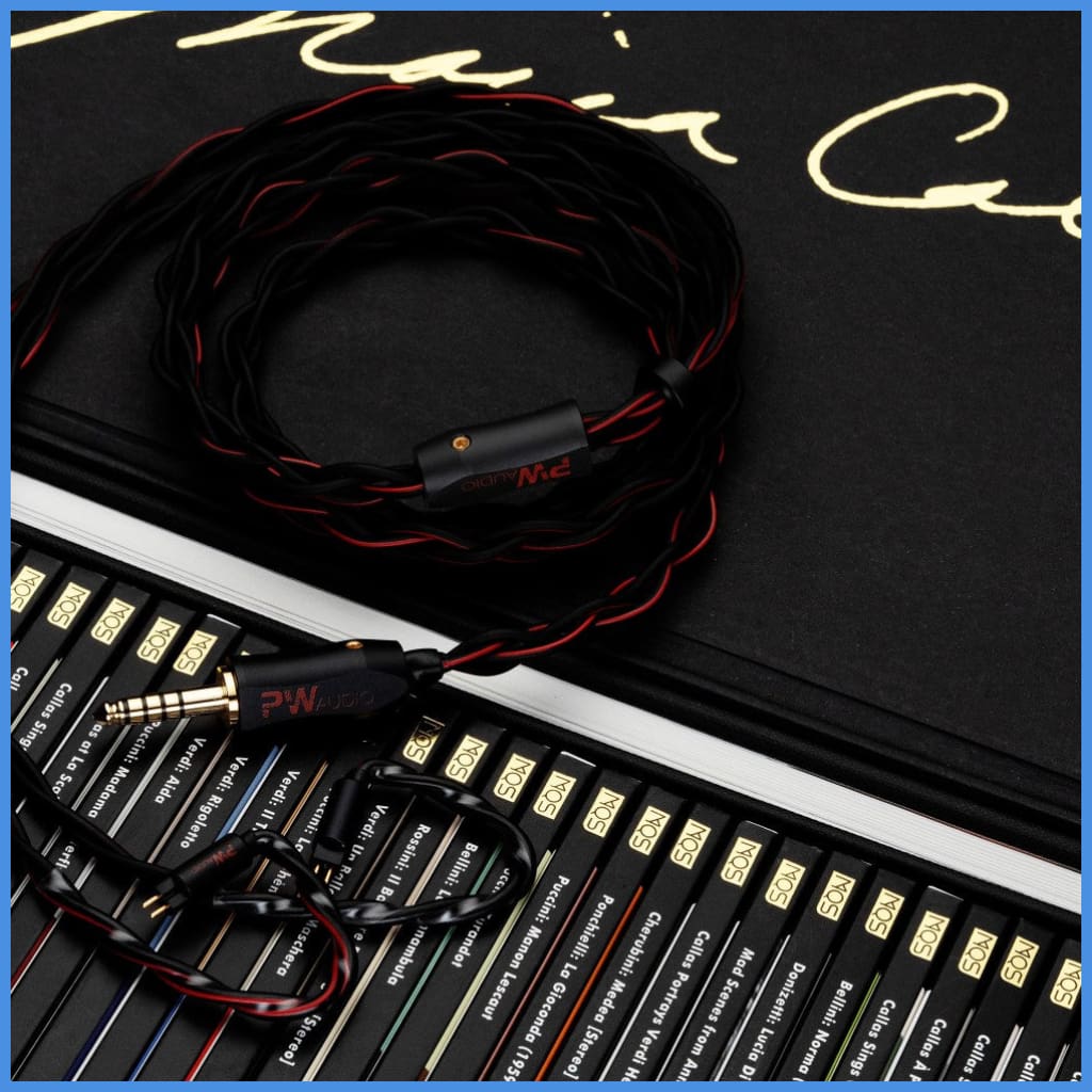 PW Audio Sagittarius In-Ear Monitor IEM Earphone Upgrade