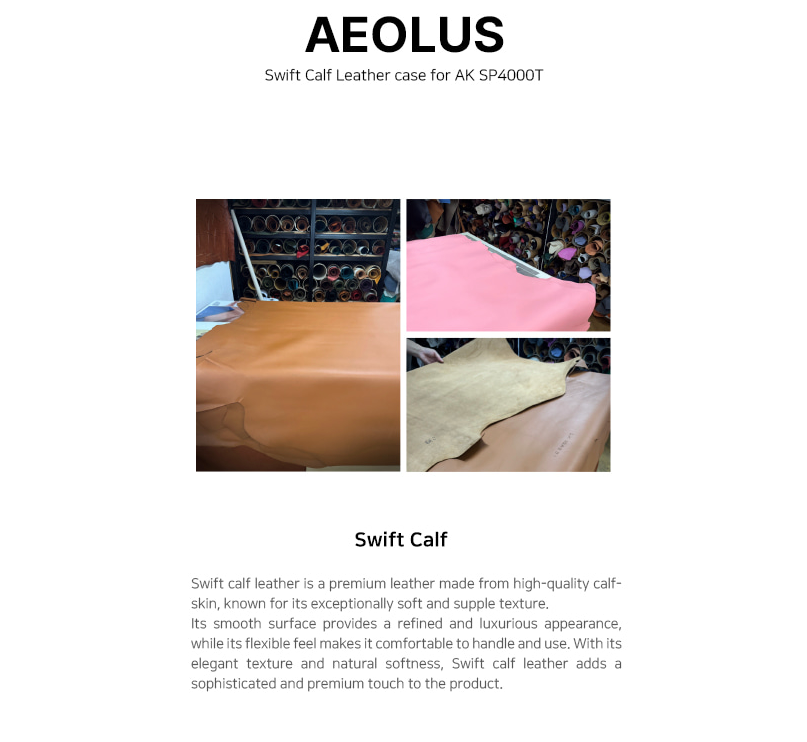 Dignis AEOLUS Swift Calf Leather Case for AK SP4000T DAP