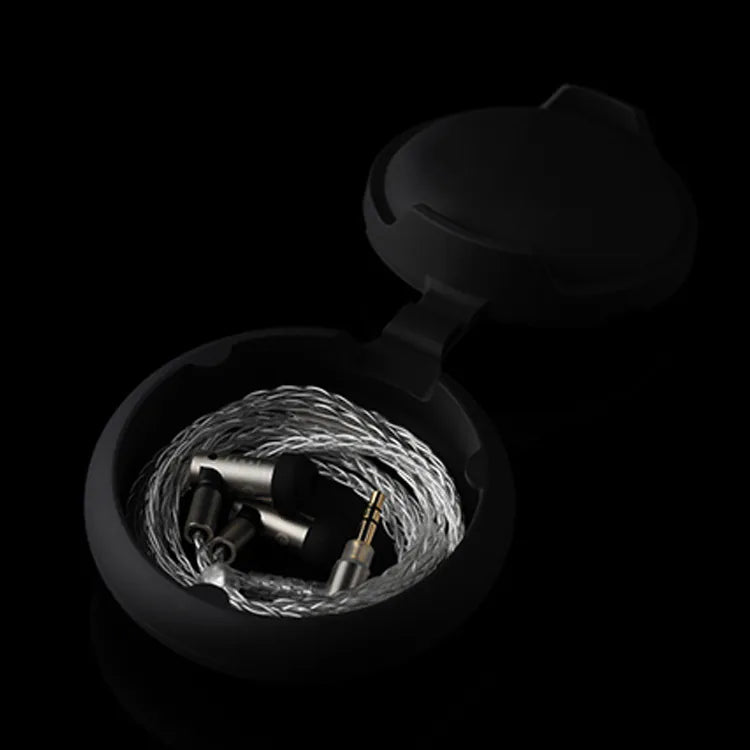 Final Audio S4000 Dynamic Driver In-Ear Monitor IEM Earphone with 3.5mm CM 2-Pin Cable