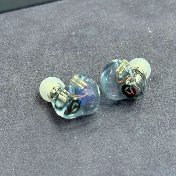 DITA Project M2 Titanium Dynamic Driver Audiophile In-Ear Monitors IEM Earphone