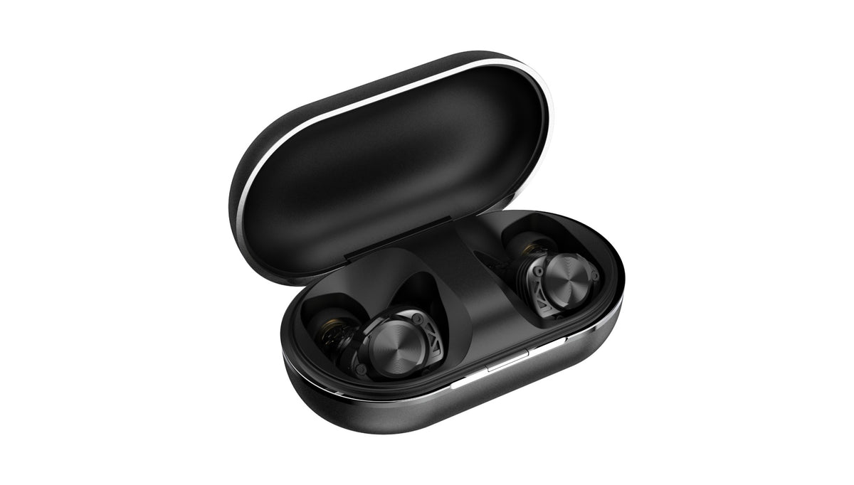 AVIOT TE-W2 True Wireless Earphones | Active Noise Cancelling & LDAC