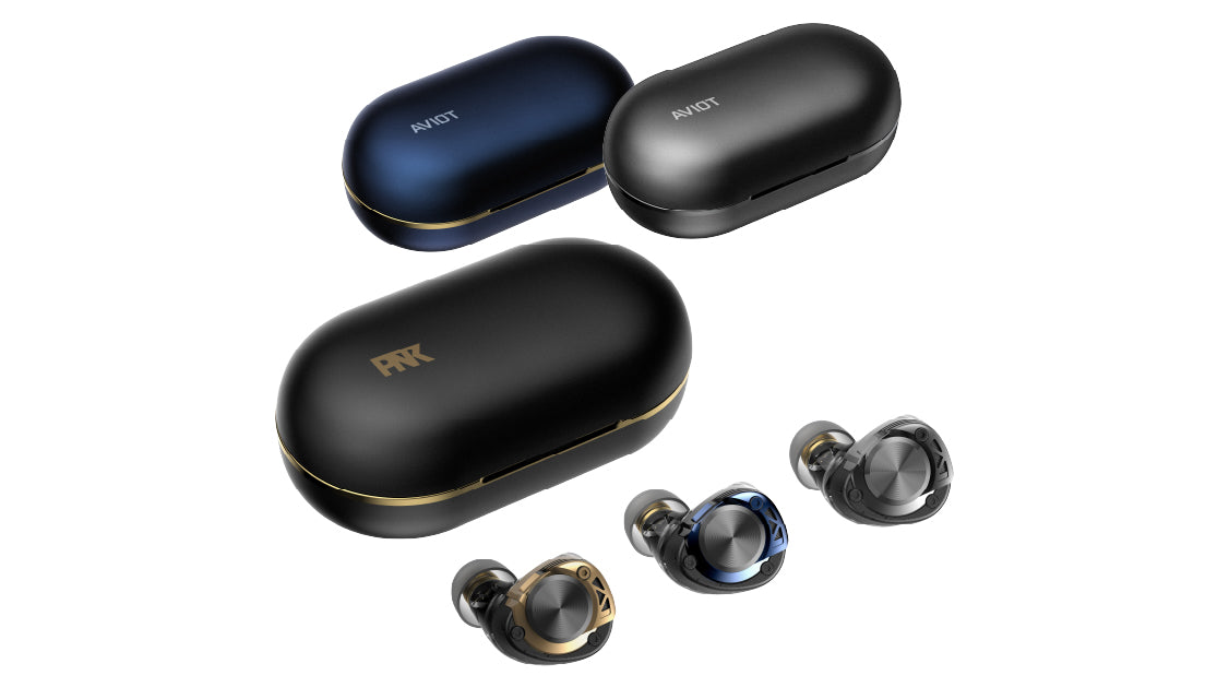 AVIOT TE-W2 True Wireless Earphones | Active Noise Cancelling & LDAC