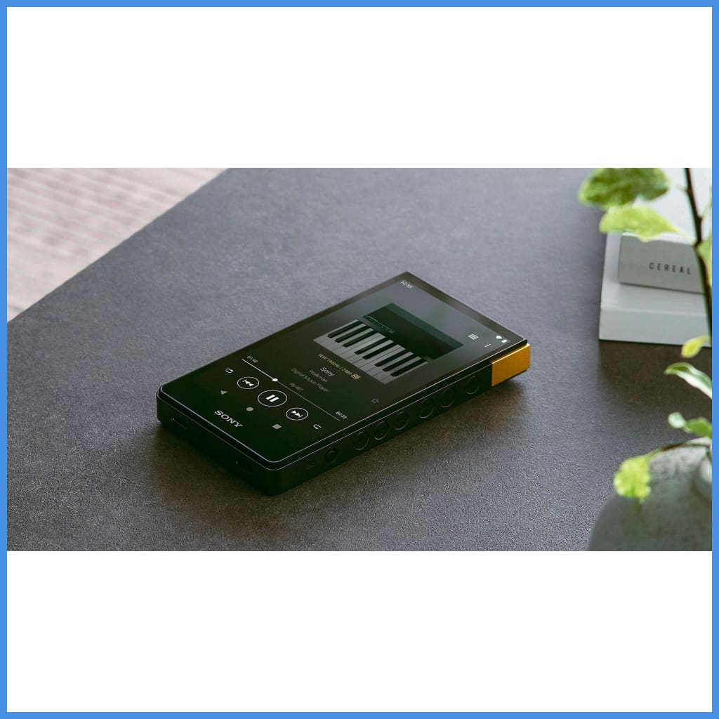 Sony Mp3 Music Player